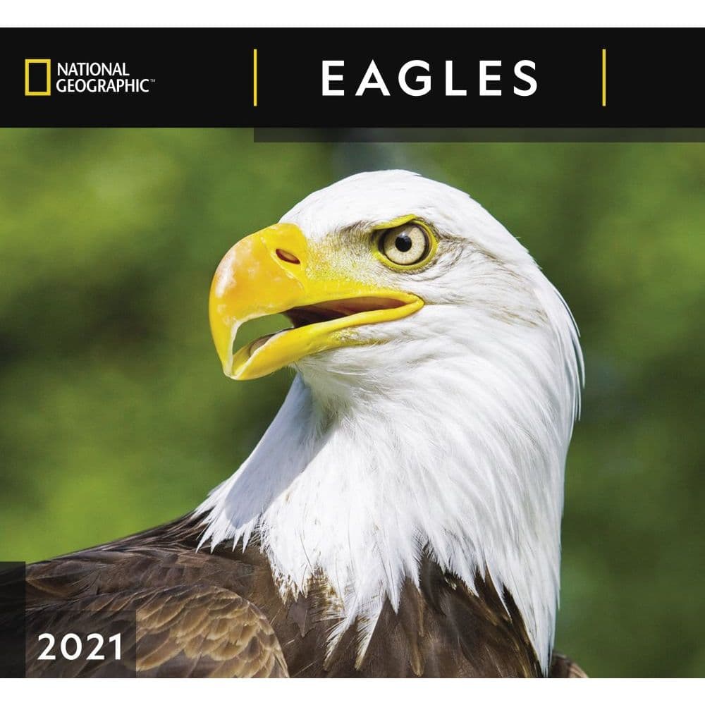 Eagles National Geographic 2021 Wall Calendar - Calendars.com