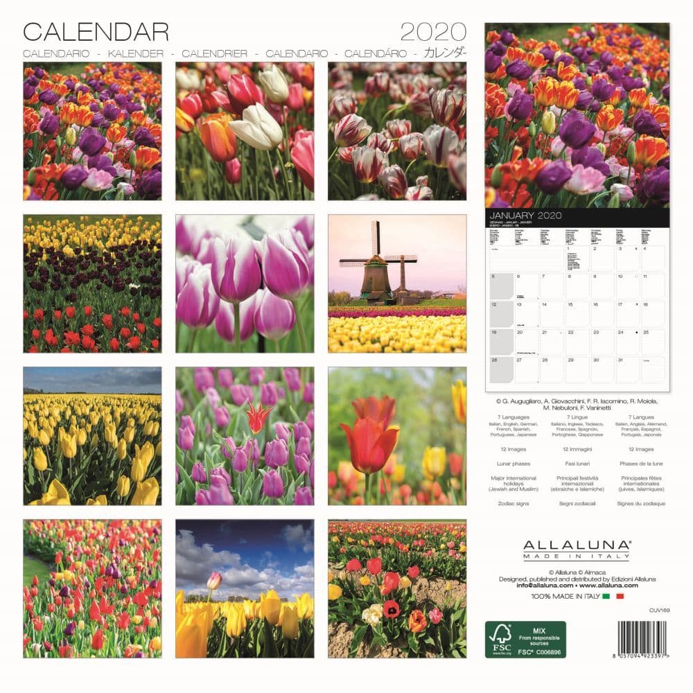 Tulips Wall Calendar