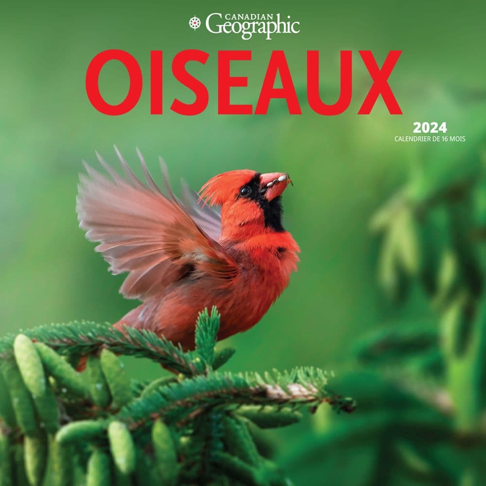 Canadian Geographic Oiseaux 2024 Wall Calendar Main