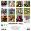 image Just American Pit Bulls 2025 Wall Calendar