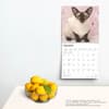 image Siamese Cats 2025 Wall Calendar Fourth Alternate