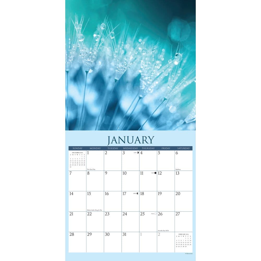 Bliss Serenity In Nature 2025 Wall Calendar - Calendars.com