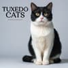 image Tuxedo Cats 2026 Wall Calendar Main Image