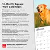 image Yellow Lab Retriever 2024 Wall Calendar Fourth Alternate Image width=&quot;1000&quot; height=&quot;1000&quot;