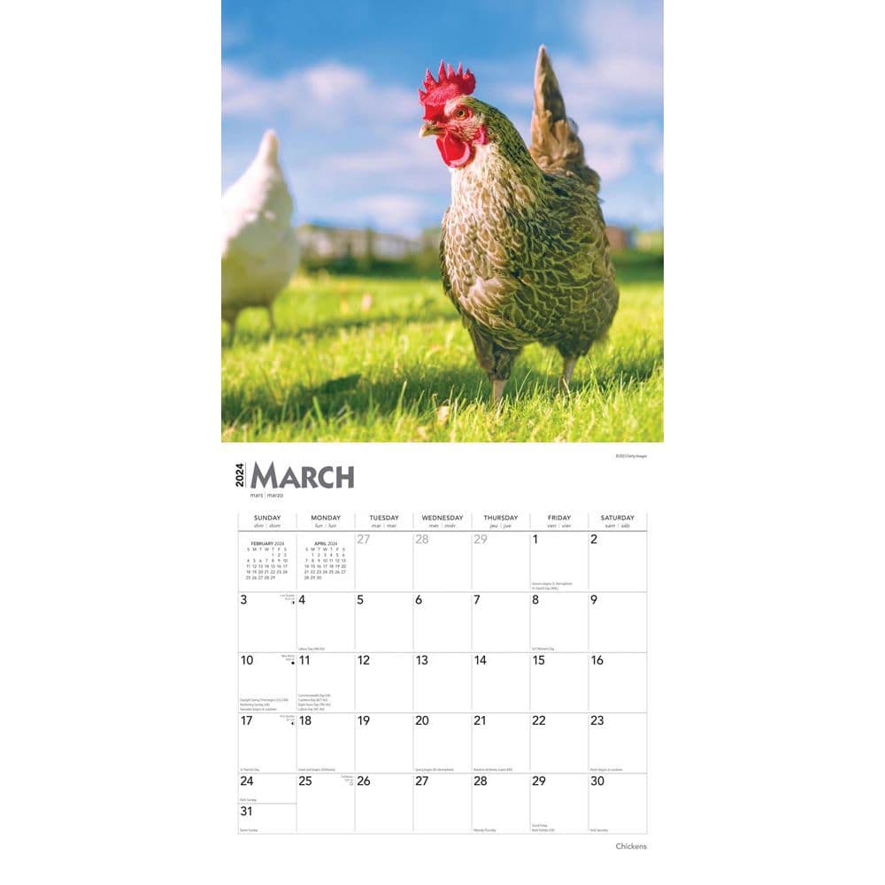 Chickens 2025 Wall Calendar