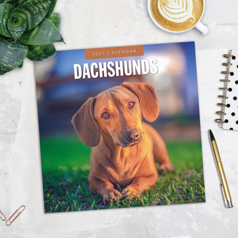 Dachshunds 2027 Wall Calendar Fourth Alternate Image