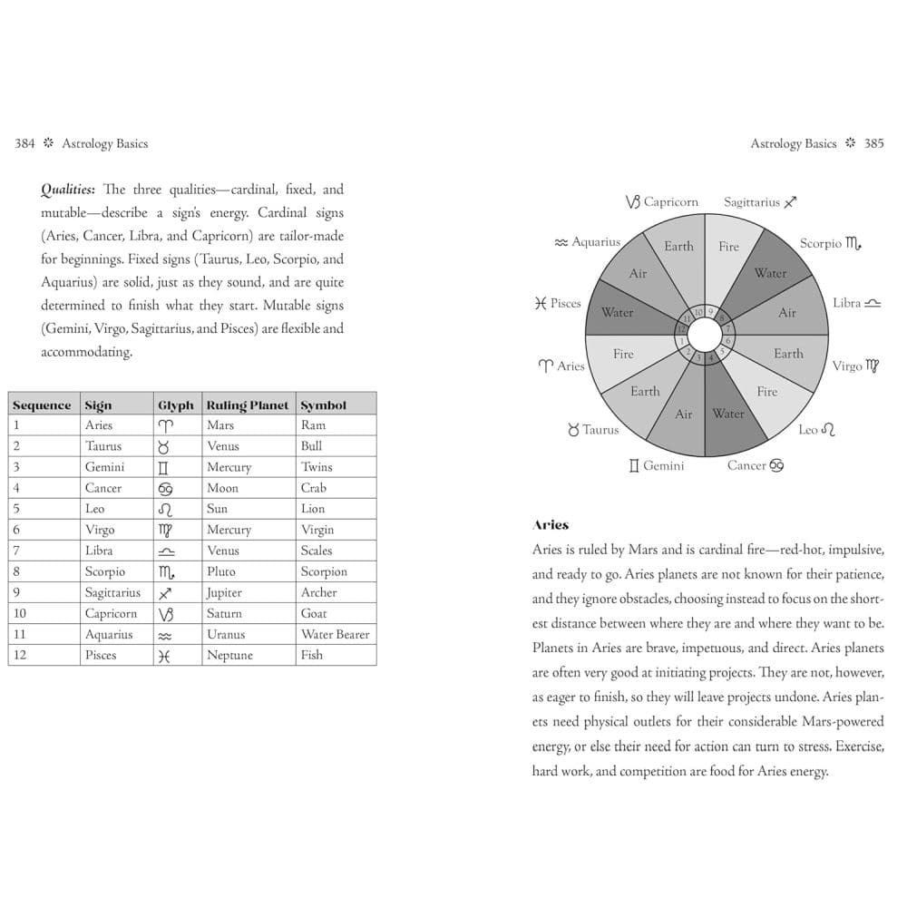 Sun Sign Book 2026 Planner Fifth Alternate Image