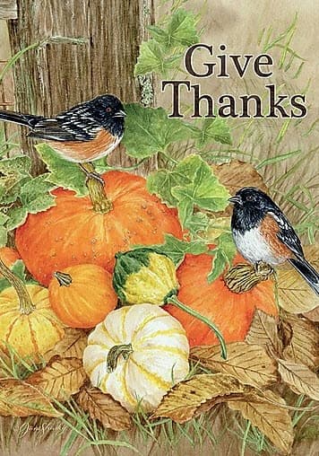 Give Thanks Outdoor Flag-Large - 28 x 40 by Jane Shasky