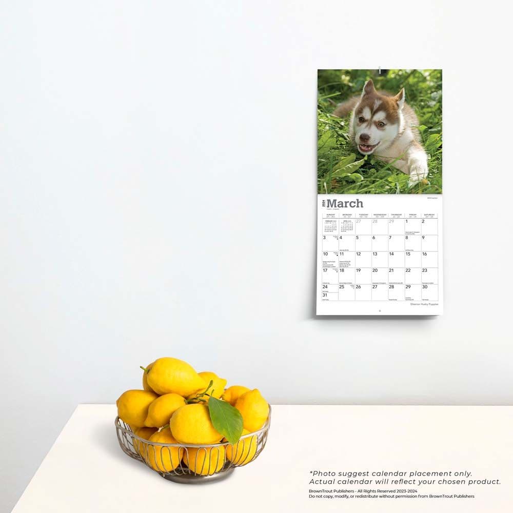 Siberian Husky Puppies 2024 Mini Wall Calendar Third Alternate Image width=&quot;1000&quot; height=&quot;1000&quot;