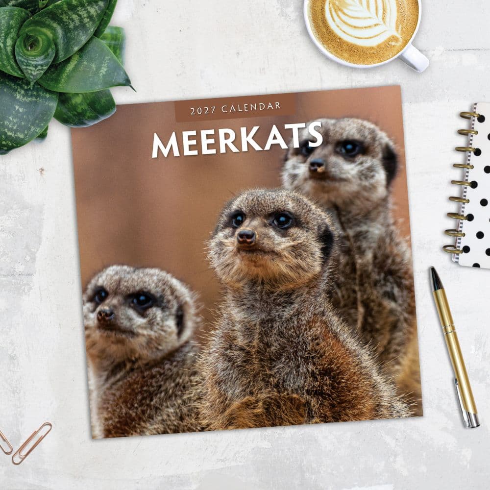 Meerkats 2027 Wall Calendar Fourth Alternate Image
