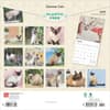 image Siamese Cats 2025 Wall Calendar First Alternate