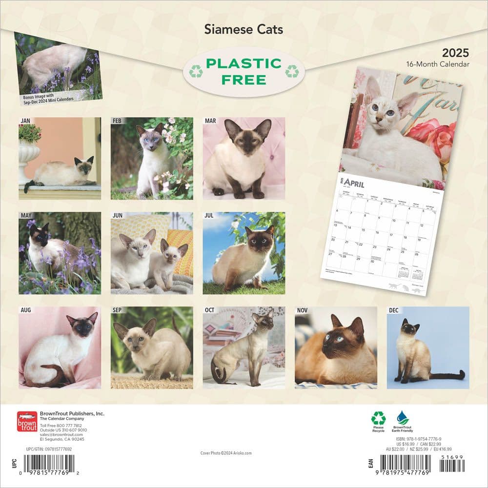 Siamese Cats 2025 Wall Calendar First Alternate