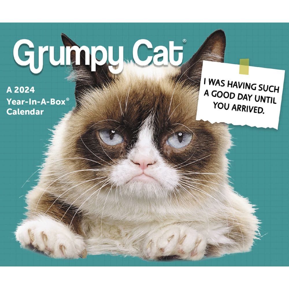 Grumpy Cat 2024 Desk Calendar