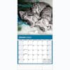 image Kittens Curious Photo 2024 Mini Wall Calendar Second Alternate Image width=&quot;1000&quot; height=&quot;1000&quot;