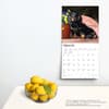 image Dachshunds Longhaired 2024 Wall Calendar Third Alternate Image width=&quot;1000&quot; height=&quot;1000&quot;