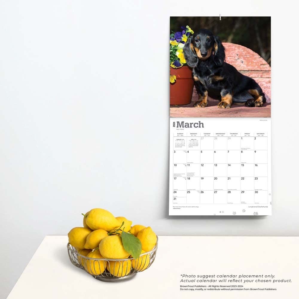 Dachshunds Longhaired 2024 Wall Calendar Third Alternate Image width=&quot;1000&quot; height=&quot;1000&quot;
