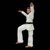 image Karate Kid Daniel GO! Exclusive Main Image