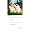 image Bulldog Puppies 2026 Mini Wall Calendar Second Alternate Image