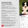 image Border Collie Puppies 2024 Mini Wall Calendar Fourth Alternate Image width=&quot;1000&quot; height=&quot;1000&quot;