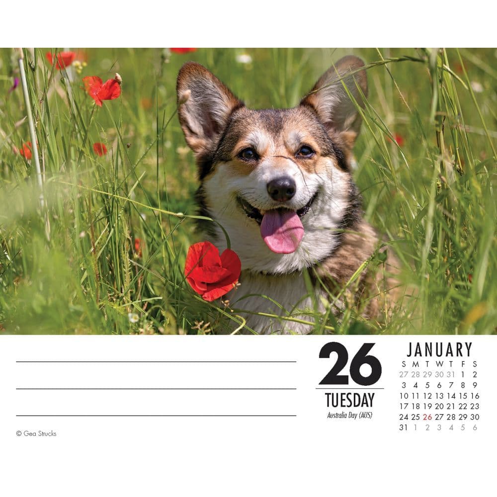 Just Desk Calendar