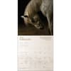 image Horses Spirit 2025 Wall Calendar Second Alternate Image