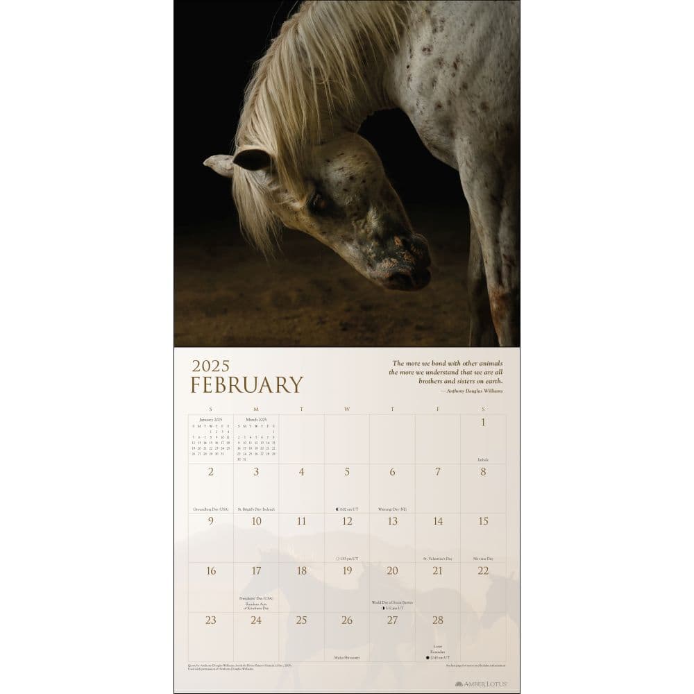 Horses Spirit 2025 Wall Calendar Second Alternate Image