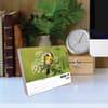 image Backyard Birds 2025 Desk Calendar