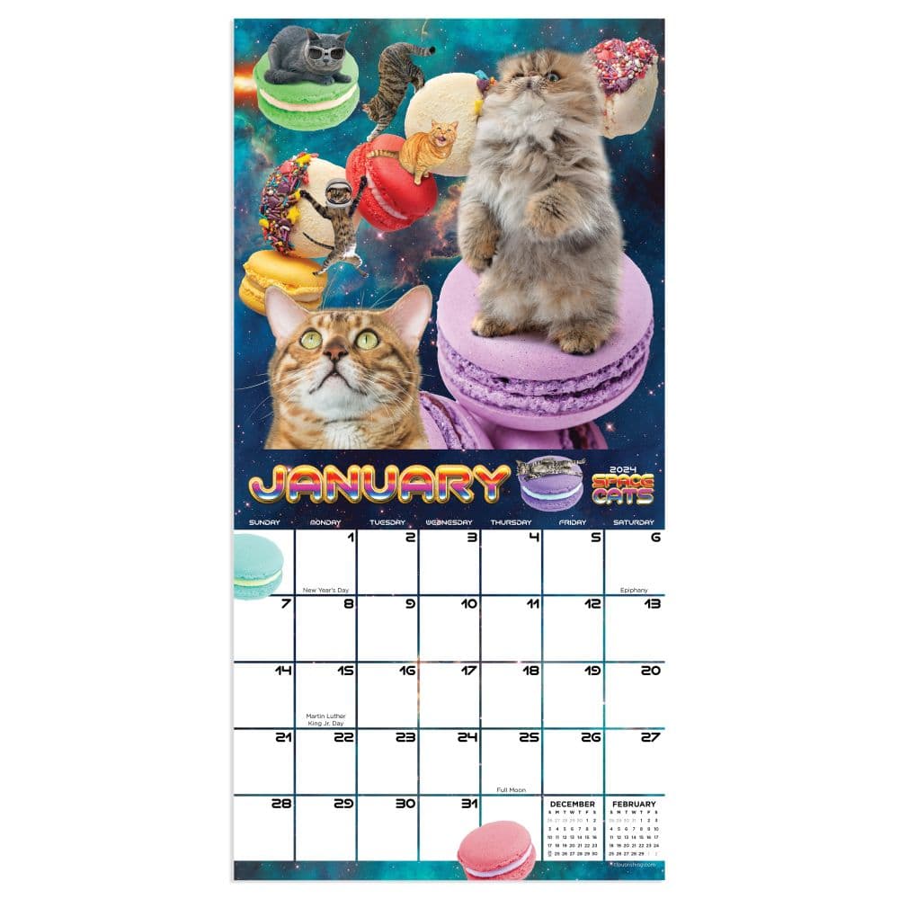 Space Cats 2024 Mini Wall Calendar