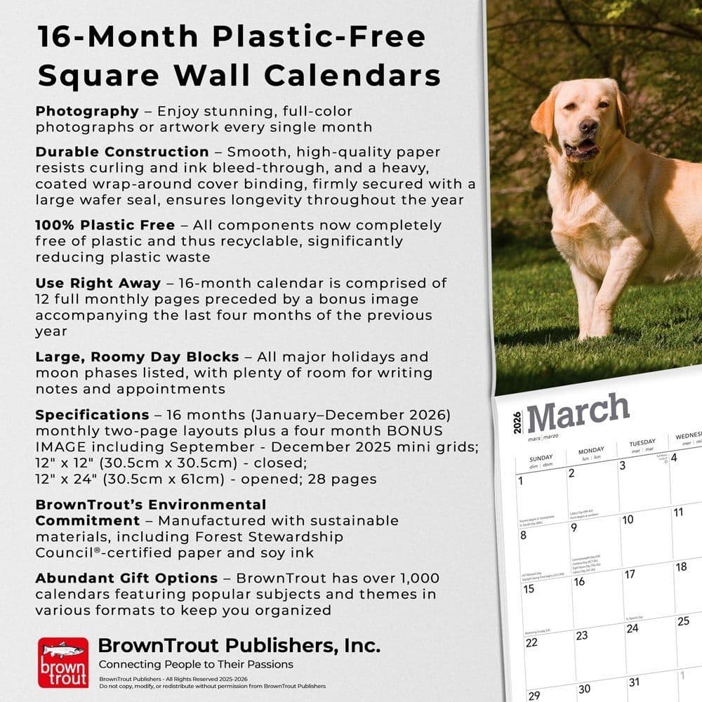 Yellow Lab Retriever 2026 Wall Calendar Fifth Alternate Image