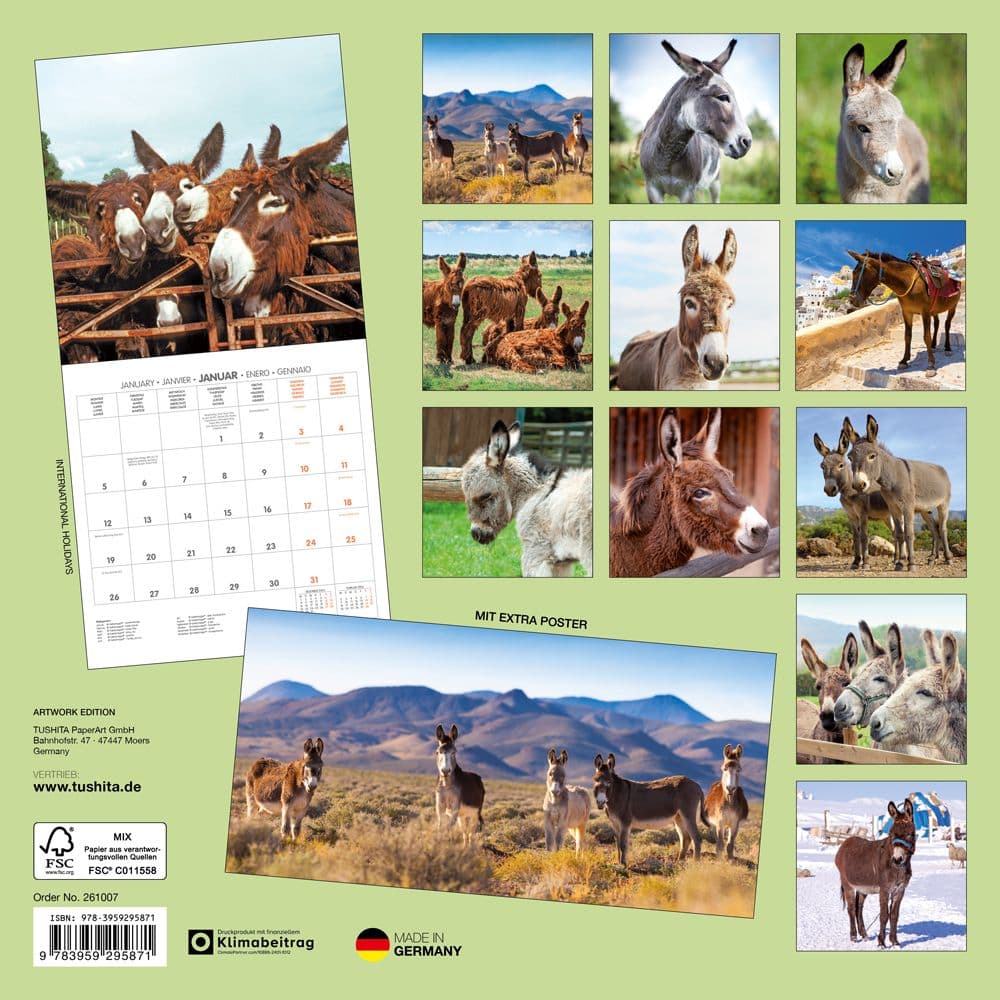 Donkeys 2026 Wall Calendar First Alternate Image