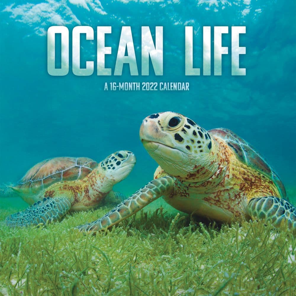 Ocean Life 2022 Wall Calendar SV