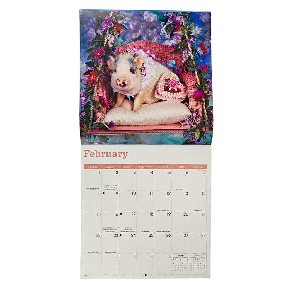 Playful Pigs 2026 Wall Calendar Third Alternate Image