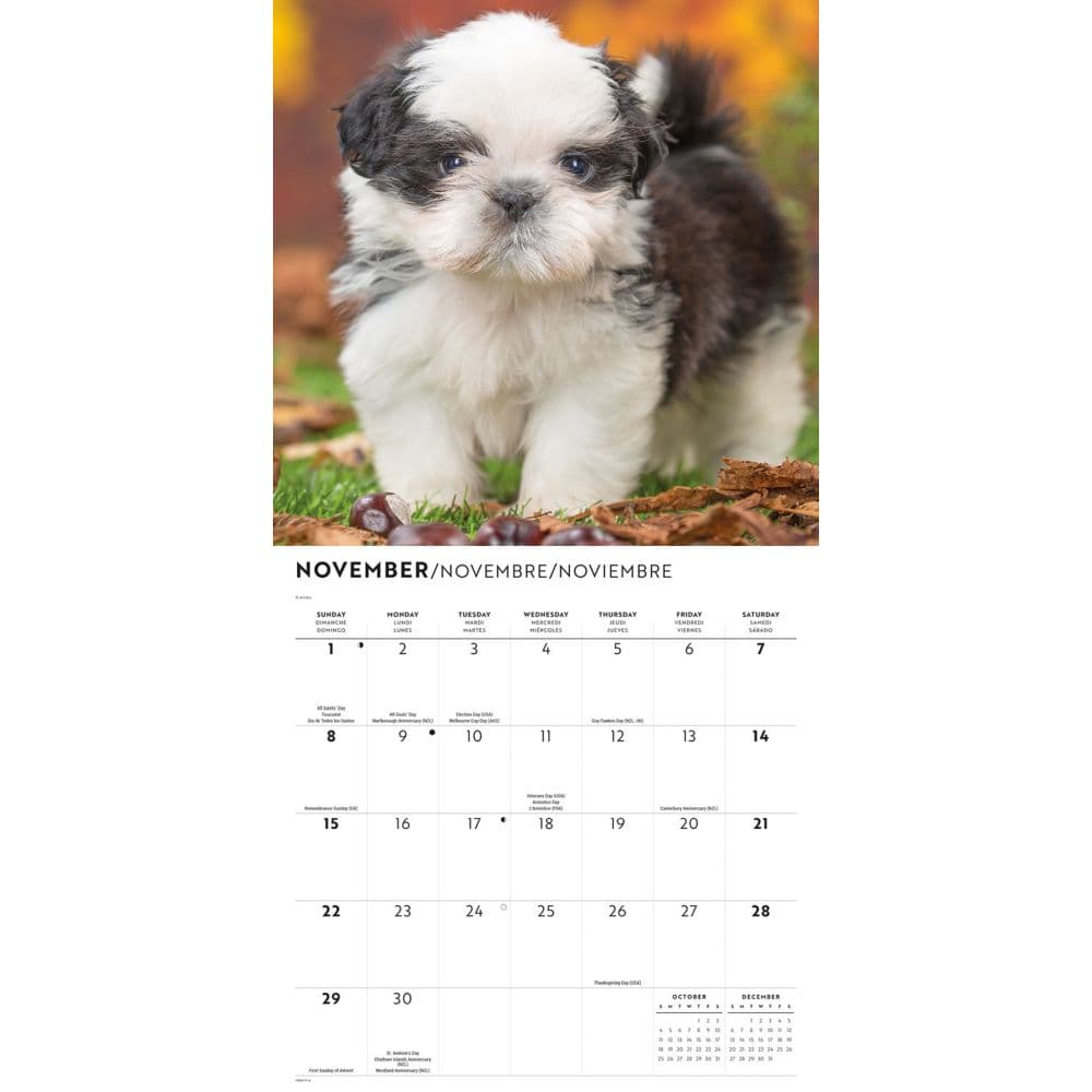 Shih Tzu Puppies 2026 Wall Calendar Fourth Alternate Image
