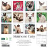 image Siamese Cats 2025 Wall Calendar