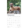 image Rhodesian Ridgebacks 2025 Wall Calendar Third Alternate Image width=&quot;1000&quot; height=&quot;1000&quot;