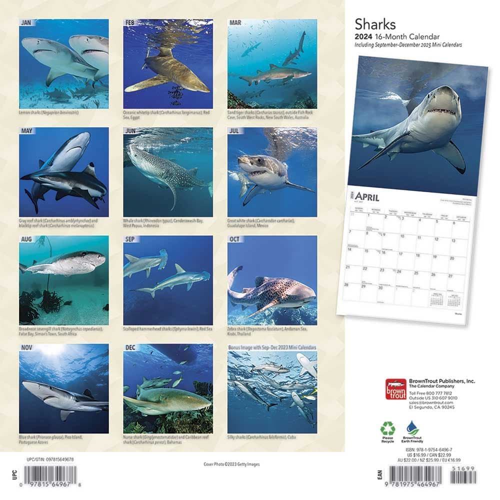 Sharks 2024 Wall Calendar Calendars Com   793d3f78 9e6c 44e2 8656 42c29ba3050c