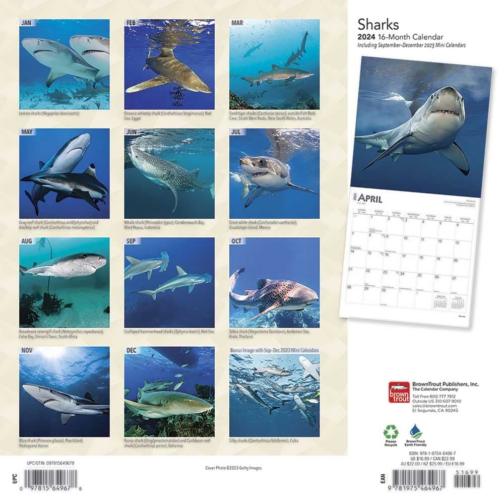 Sharks 2024 Wall Calendar First Alternate Image width=&quot;1000&quot; height=&quot;1000&quot;