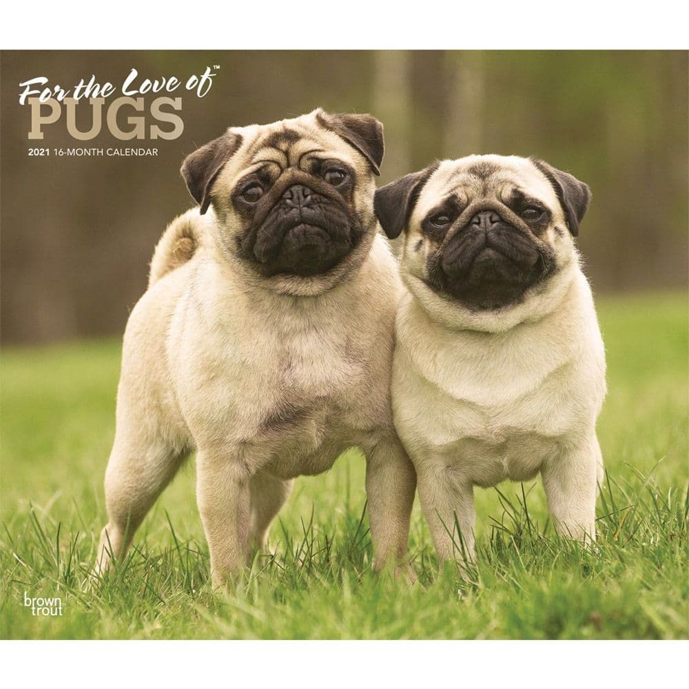 Pugs Deluxe Wall Calendar