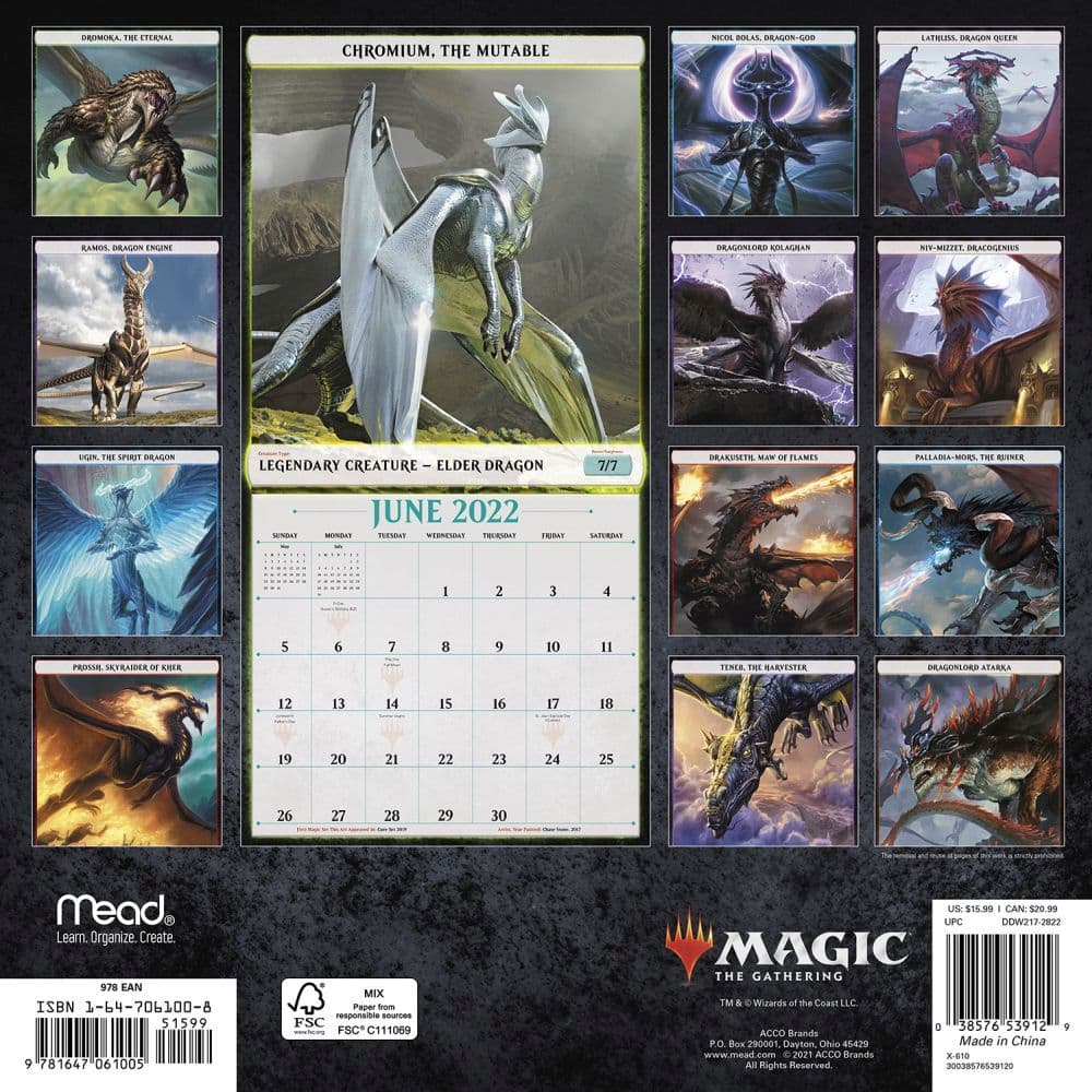 Magic the Gathering 2022 Wall Calendar - Calendars.com