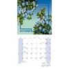 image New York Botanical Gardens 2026 Mini Wall Calendar Fourth Alternate Image