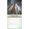 image Redwood Forest 2026 Wall Calendar Second Alternate Image