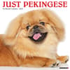 image Just Pekingese 2025 Wall Calendar Main Image
