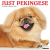 image Just Pekingese 2025 Wall Calendar Main Image