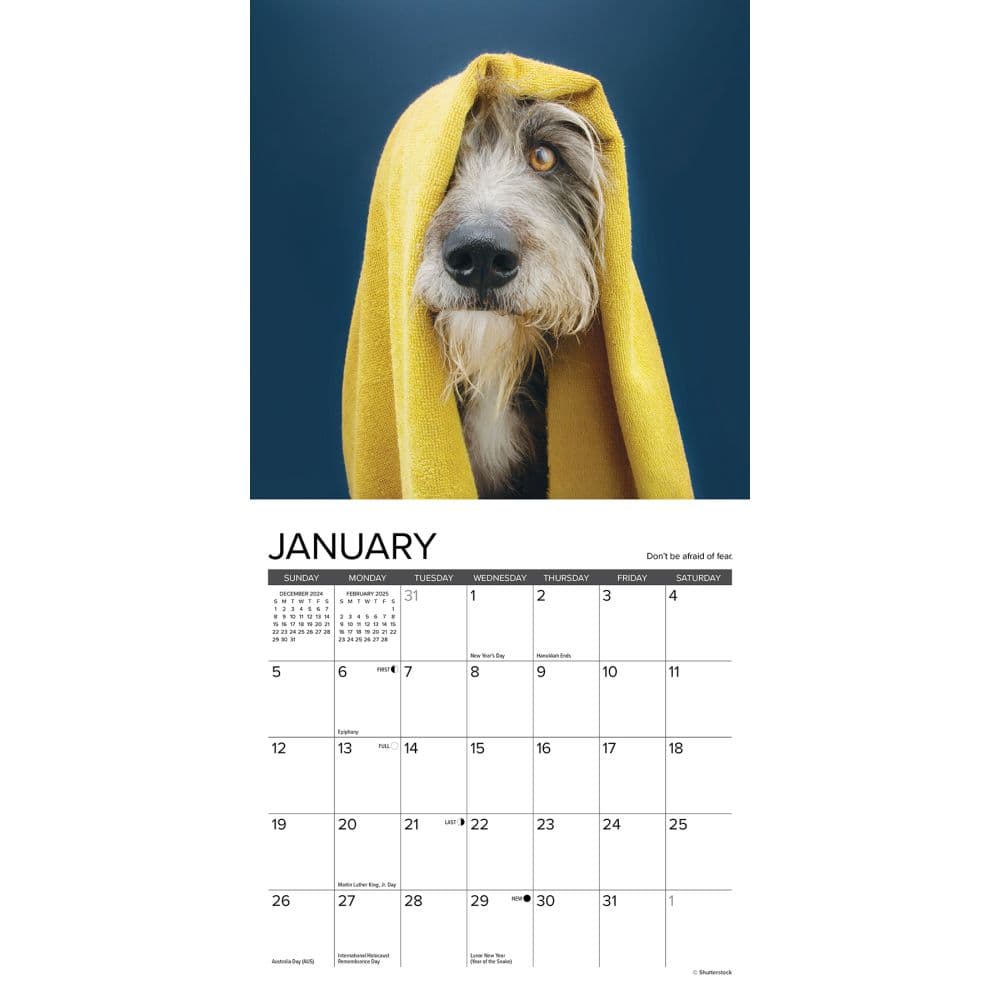 What Dogs Teach Us 2025 Mini Wall Calendar Second Alternate Image width=&quot;1000&quot; height=&quot;1000&quot;