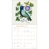 image Feather Friends 2025 Wall Calendar Second Alternate Image