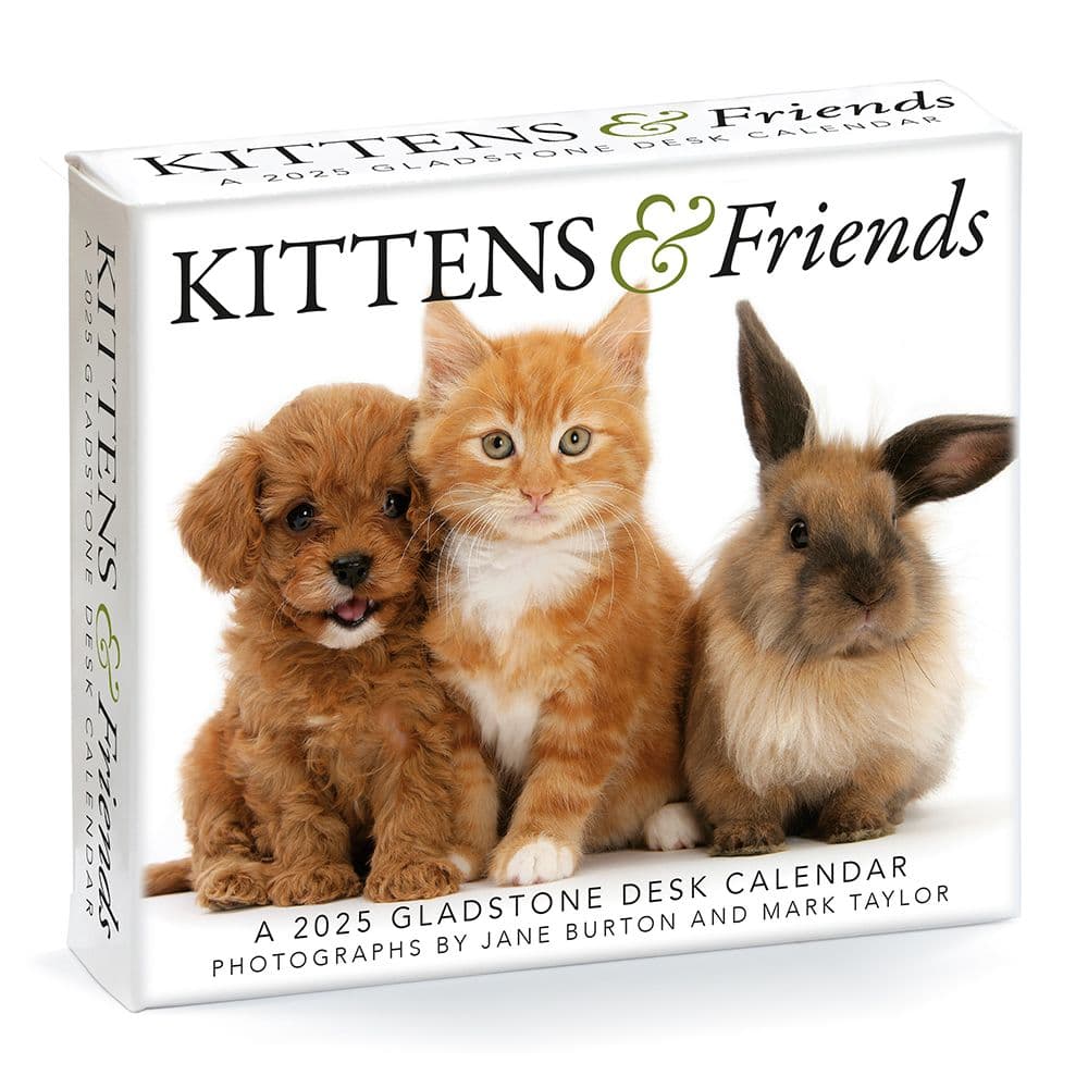 Kittens and Friends 2025 Desk Calendar