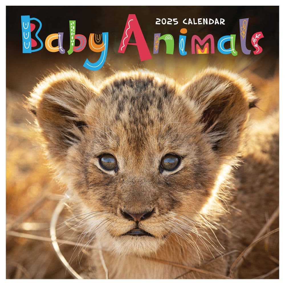 Baby Animals 2025 Wall Calendar - Calendars.com