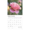 image Roses 2025 Wall Calendar Third Alternate Image