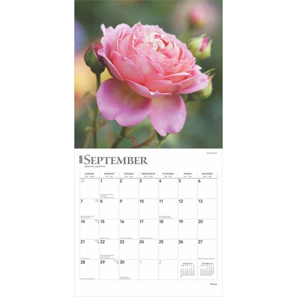 Roses 2025 Wall Calendar Third Alternate Image
