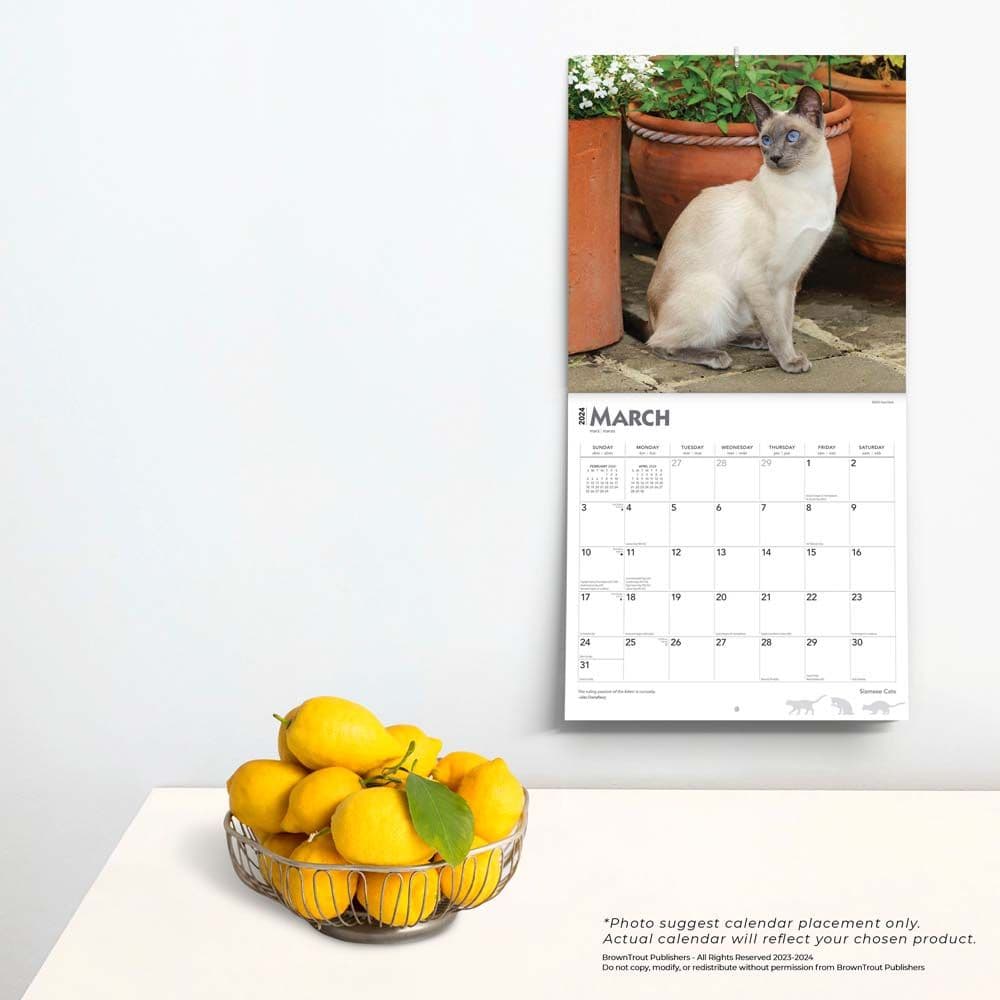 Cats Siamese 2024 Wall Calendar